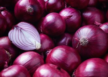 ಕೊರೊನಾ ಆಯ್ತು, ಅಮೆರಿಕದಲ್ಲೀಗ ಸ್ಯಾಲ್ಮೊನೆಲ್ಲಾ ಸೋಂಕು ಹಾವಳಿ: ಏನಿದು?