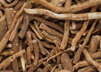 Ashwagandha: ಹಾಲಿನೊಂದಿಗೆ ಅಶ್ವಗಂಧ – ಆರೋಗ್ಯಕರ ಲಾಭಗಳು