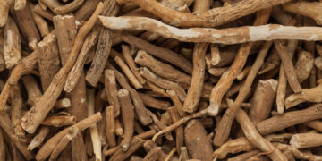 Ashwagandha: ಹಾಲಿನೊಂದಿಗೆ ಅಶ್ವಗಂಧ – ಆರೋಗ್ಯಕರ ಲಾಭಗಳು