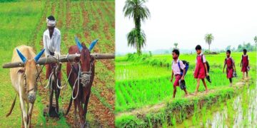 Children of farmers: ರಾಜ್ಯ ಸರ್ಕಾರದಿಂದ ರೈತರ ಮಕ್ಕಳಿಗೆ ಸಿಹಿಸುದ್ದಿ