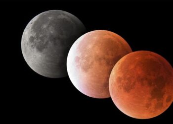 Lunar Eclipse: ನವಂಬರ್ 19ಕ್ಕೆ ವರ್ಷದ ಕೊನೆಯ ಚಂದ್ರಗ್ರಹಣ