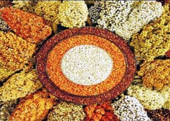 Hot meals: ಶಾಲಾ ಮಕ್ಕಳ ಬಿಸಿಯೂಟದಲ್ಲಿ ಸಿರಿಧಾನ್ಯ ಬಳಸುವಂತೆ ಕೇಂದ್ರ ಸಲಹೆ