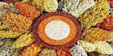 Hot meals: ಶಾಲಾ ಮಕ್ಕಳ ಬಿಸಿಯೂಟದಲ್ಲಿ ಸಿರಿಧಾನ್ಯ ಬಳಸುವಂತೆ ಕೇಂದ್ರ ಸಲಹೆ