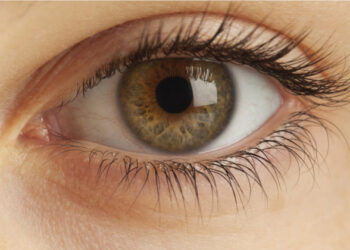 Eye donation: ನೇತ್ರದಾನ ಜನಾಂದೋಲನ ಆಗಬೇಕು