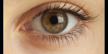 Eye donation: ನೇತ್ರದಾನ ಜನಾಂದೋಲನ ಆಗಬೇಕು