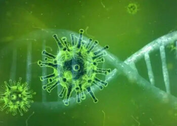 Covid’s mutant virus: ಕೋವಿಡ್ ನ ರೂಪಾಂತರಿ ವೈರಾಣು ನಿಯಂತ್ರಣಕ್ಕೆ ರಾಜ್ಯ ಹೇಗೆ ಸಜ್ಜಾಗಿದೆ