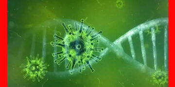 Covid’s mutant virus: ಕೋವಿಡ್ ನ ರೂಪಾಂತರಿ ವೈರಾಣು ನಿಯಂತ್ರಣಕ್ಕೆ ರಾಜ್ಯ ಹೇಗೆ ಸಜ್ಜಾಗಿದೆ