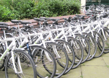 ‘Cycle Day’: ಸುಸ್ಥಿರ ಪರಿಸರ, ಸ್ವಸ್ಥ ಆರೋಗ್ಯ ಉತ್ತೇಜಿಸಲು ‘ಸೈಕಲ್ ದಿನ’ ಆಚರಣೆ