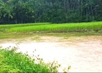 Vatavarana: ಕಾಫಿನಾಡಿನಾದ್ಯಂತ ಮೋಡಕವಿದ ವಾತವರಣ