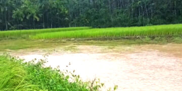 Vatavarana: ಕಾಫಿನಾಡಿನಾದ್ಯಂತ ಮೋಡಕವಿದ ವಾತವರಣ