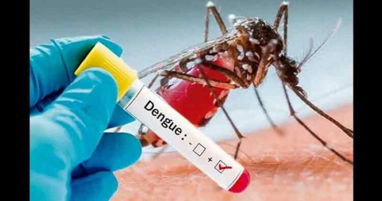 Dengue-Mosquito