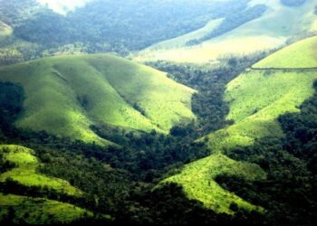 Non-forest activity: ಗಿರಿ ಶ್ರೇಣಿಯಲ್ಲಿ ಅರಣ್ಯೇತರ ಚಟುವಟಿಕೆ ಜತೆಗೆ ಒತ್ತುವರಿಗೆ ಕಡಿವಾಣ ಬೇಕಿದೆ