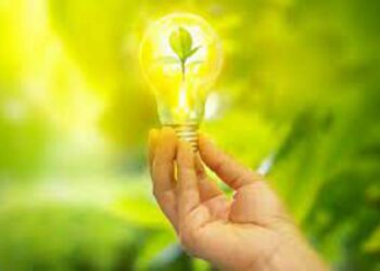 Green Electricity: 2050ರ ವೇಳೆಗೆ ‘ಹಸಿರು ವಿದ್ಯುತ್​’ ಉತ್ಪಾದನೆ ಅಗ್ಗ