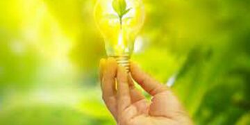 Green Electricity: 2050ರ ವೇಳೆಗೆ ‘ಹಸಿರು ವಿದ್ಯುತ್​’ ಉತ್ಪಾದನೆ ಅಗ್ಗ