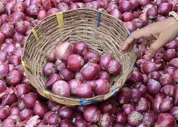 Onion-Price
