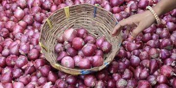 Onion-Price