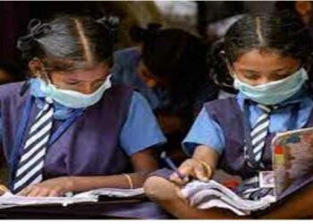 Science Essay Competition