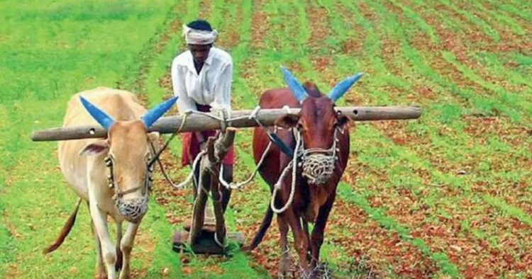 Farmers