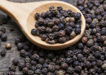 Black Pepper