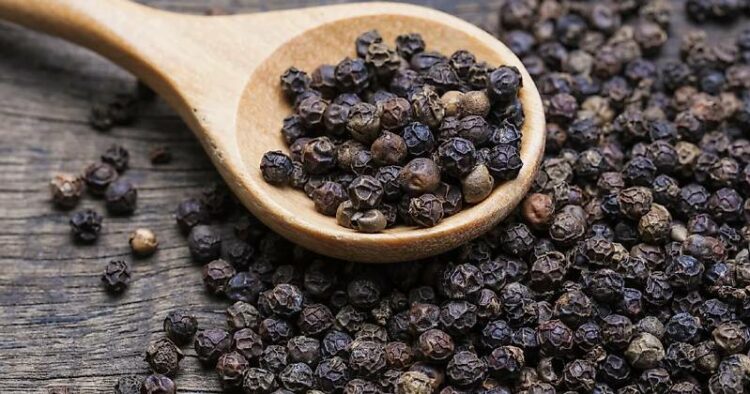 Black Pepper