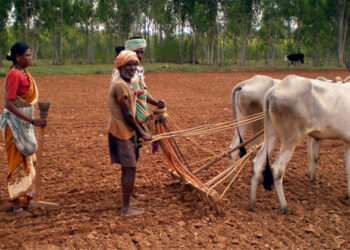 Sale of agricultural land: ಕೃಷಿ ಭೂಮಿ ಮಾರಾಟ ಮಾಡಬೇಕು ಎಂದುಕೊಂಡವರಿಗೆ ಸರ್ಕಾರದ ಶಾಕ್!