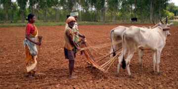 Sale of agricultural land: ಕೃಷಿ ಭೂಮಿ ಮಾರಾಟ ಮಾಡಬೇಕು ಎಂದುಕೊಂಡವರಿಗೆ ಸರ್ಕಾರದ ಶಾಕ್!