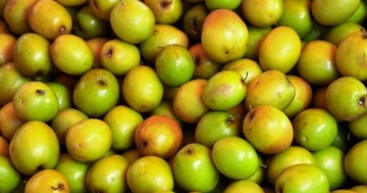 Bare Fruit
