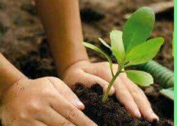 Modern agriculture: ಆಧುನಿಕ ಕೃಷಿಯ ಪರಿಣಾಮ ಕೃಷಿ ಬಿಕ್ಕಟ್ಟುಗಳು ಆರಂಭ