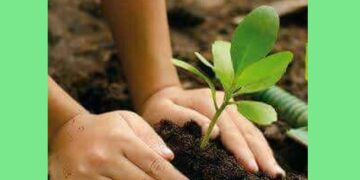 Modern agriculture: ಆಧುನಿಕ ಕೃಷಿಯ ಪರಿಣಾಮ ಕೃಷಿ ಬಿಕ್ಕಟ್ಟುಗಳು ಆರಂಭ