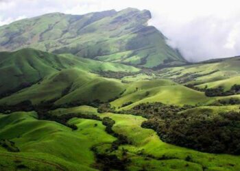ಕೇಂದ್ರ ಸರಕಾರ ಕಸ್ತೂರಿ ರಂಗನ್ ವರದಿ- ಹುಲಿ ಯೋಜನೆ ಕೈಬಿಡಬೇಕು