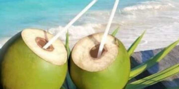 Coconut water intake:  ಎಳನೀರು ಸೇವನೆಯಿಂದ ಆರೋಗ್ಯಕ್ಕೆ ಹಲವು ಪ್ರಯೋಜನಗಳು.