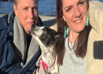 ನಾಯಿಯನ್ನು ಕರೆತರಲು ಖಾಸಗಿ ವಿಮಾನ!