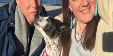 ನಾಯಿಯನ್ನು ಕರೆತರಲು ಖಾಸಗಿ ವಿಮಾನ!