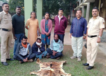 Tiger skin: ಹುಲಿಚರ್ಮ ಮಾರಾಟಕ್ಕೆ ಮುಂದಾಗಿದ್ದ ಆರೋಪಿಗಳನ್ನು ವಶಕ್ಕೆ