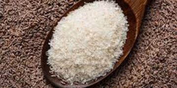 ಇಸಾಬ್ಗೋಲ್‌ ಬಳಕೆಯಿಂದ ತೂಕ ಇಳಿಕೆ