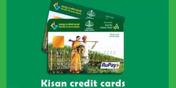 3 lakh. Credit Facility: ಪಶು ಕಿಸಾನ್ ಕ್ರೆಡಿಟ್ ಕಾರ್ಡ್ ಯೋಜನೆಯಡಿ 3 ಲಕ್ಷ ರೂ. ಸಾಲ ಸೌಲಭ್ಯ
