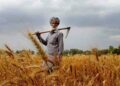 Kissan Day: A Salute to Farmer