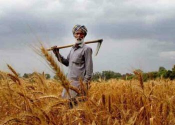 Kissan Day: A Salute to Farmer