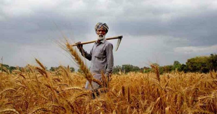 Kissan Day: A Salute to Farmer