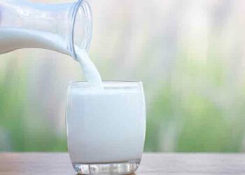 How is milk helpful for those trying to lose weight?