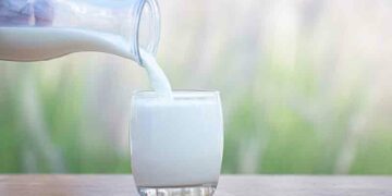 How is milk helpful for those trying to lose weight?