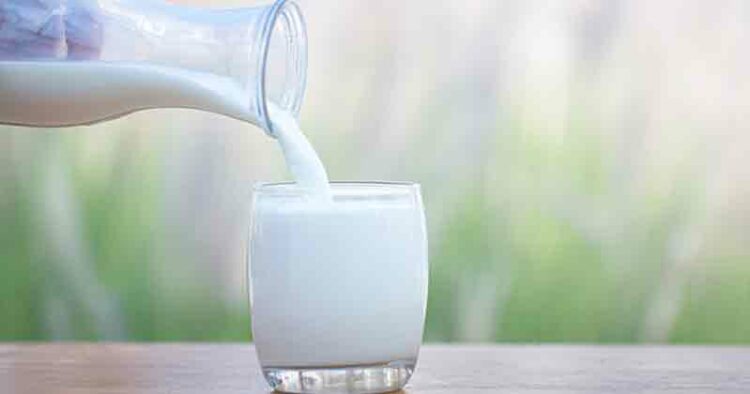 How is milk helpful for those trying to lose weight?