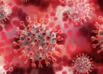 Omykron infection: ಕರ್ನಾಟಕಕ್ಕೆ ಬಂತು ಓಮಿಕ್ರಾನ್‌ ಸೋಂಕು..! ಇಬ್ಬರಿಗೆ ದೃಢ, ದೇಶದಲ್ಲಿ ಮೊದಲ ಪ್ರಕರಣ ದಾಖಲು