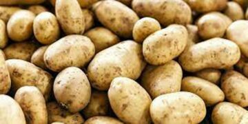 ಆಲೂಗಡ್ಡೆ ತಳಿಗೆ ಏಕಸ್ವಾಮ್ಯ ಪಡೆದಿದ್ದ ಪೆಪ್ಸಿ ಕಂಪನಿ ವಿರುದ್ಧದ ಮೊಕದ್ದಮೆ ಗೆದ್ದ ರೈತ ಮಹಿಳೆ