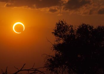solar eclipse: ವರ್ಷದ ಕೊನೆಯ ಸೂರ್ಯ ಗ್ರಹಣ