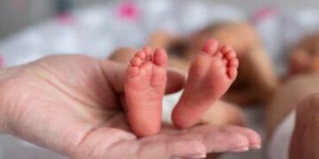 An essential guide for parents with preemies
