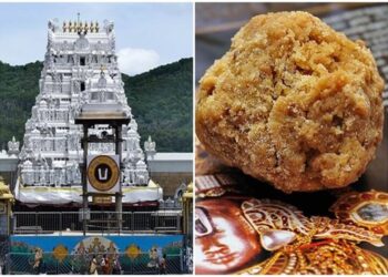 Tirupati Tirumala: ತಿರುಪತಿ ತಿರುಮಲ ಲಡ್ಡು ಪ್ರಸಾದದ ಇಂಟ್ರೆಸ್ಟಿಂಗ್ ಇತಿಹಾಸದ ಬಗ್ಗೆ ನಿಮಗೆ ಗೊತ್ತಾ?
