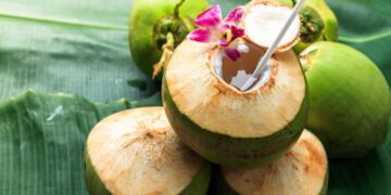 ಯಾವ ಸಮಯದಲ್ಲಿ ಎಳನೀರು ಸೇವಿಸಿದರೆ ಉತ್ತಮ..? ಇದರಲ್ಲಿದೆ ವಿಶೇಷ ಆರೋಗ್ಯಕರ ಗುಣಗಳು