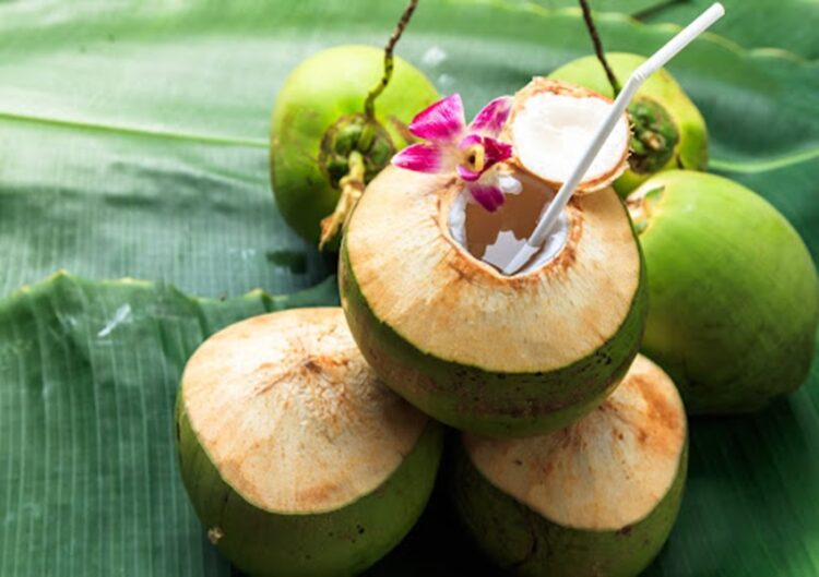 Sweet green coconuts water with drinking straw on banana leaf. Coconut tropical fruit in Koh Samui, PhaNgan and koh tao , surat thani and chumphon at Thailand.