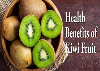 ಕಿವಿ ಫ್ರೂಟ್ ಎಂಥ ಆರೋಗ್ಯಕರ ಹಣ್ಣು ಗೊತ್ತಾ..? ಆ ಬಗ್ಗೆ ಮಾಹಿತಿ ಇಲ್ಲಿದೆ ನೋಡಿ